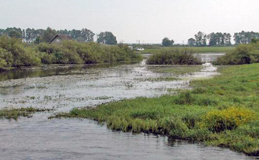 Source is http://www.ramsar.org/pictures/belarus-conf08.jpg