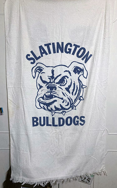 swim towel