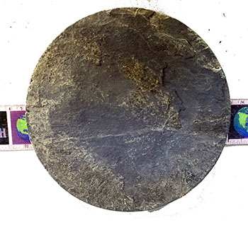 small slate plant saucer